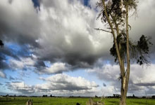 亚博体育APP-关于集结日波士顿凯尔特人备战法国杯，篮板制胜细节曝光，底气十足，轮换策略成焦点的信息-亚博体育APP